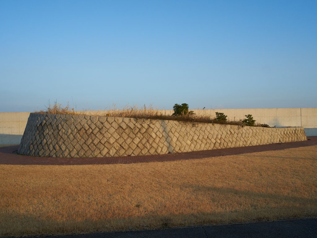 私を忘れて欲しい