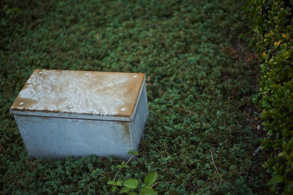 旧友のような竹芝