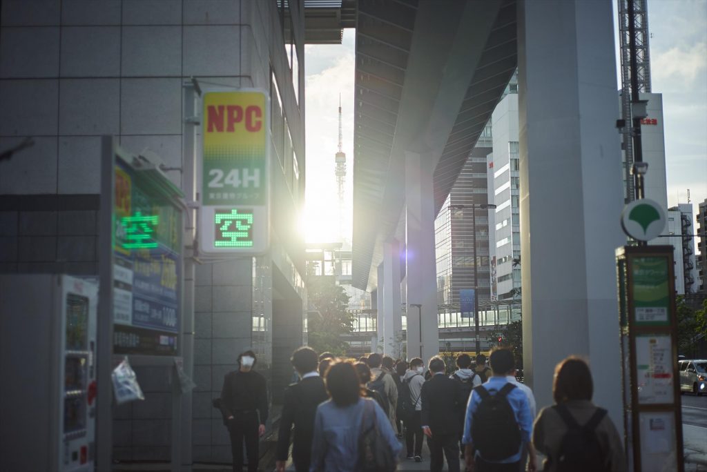 旧友のような竹芝