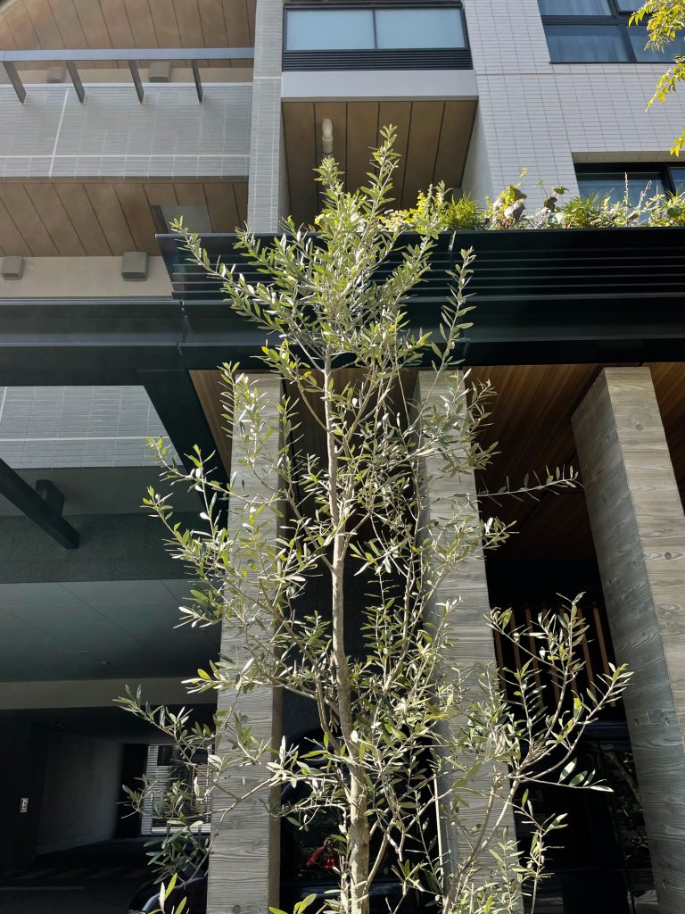 四十年前の「異国情緒」