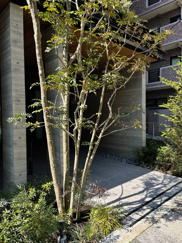 四十年前の「異国情緒」