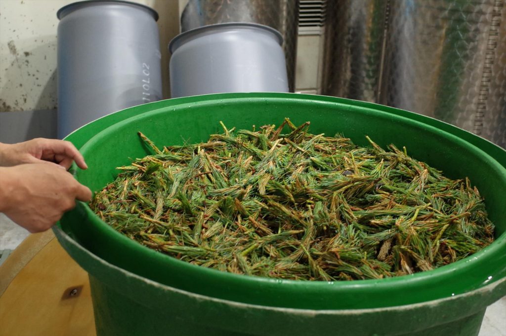 「土の香り」を聞く　vol.1　江口宏志さん（mitosaya）