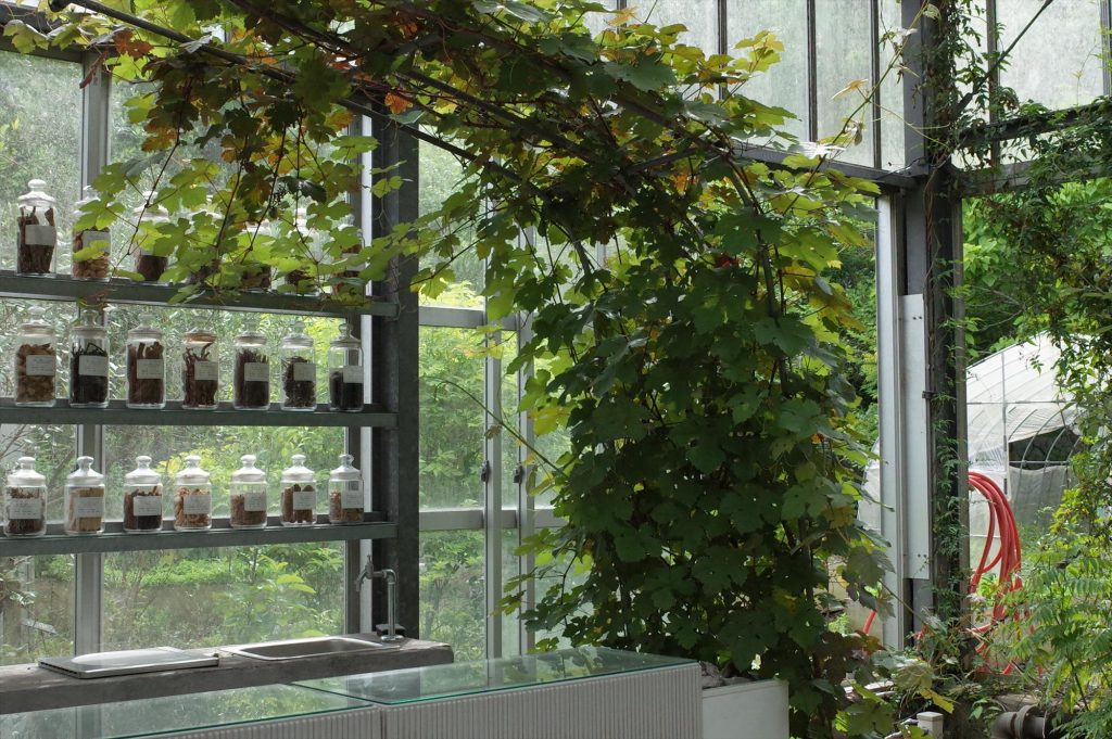 「土の香り」を聞く　vol.1　江口宏志さん（mitosaya）