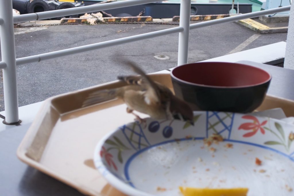 2024年11月26日火曜日(前編)