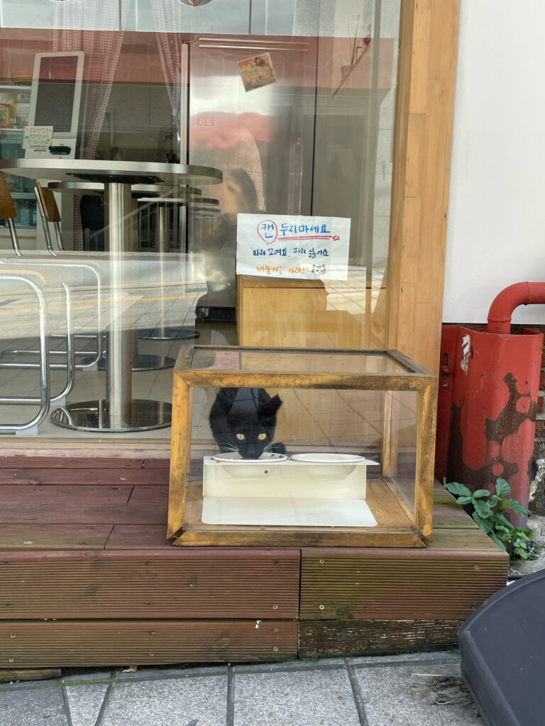 2025年8月15日を韓国で過ごしたメモ